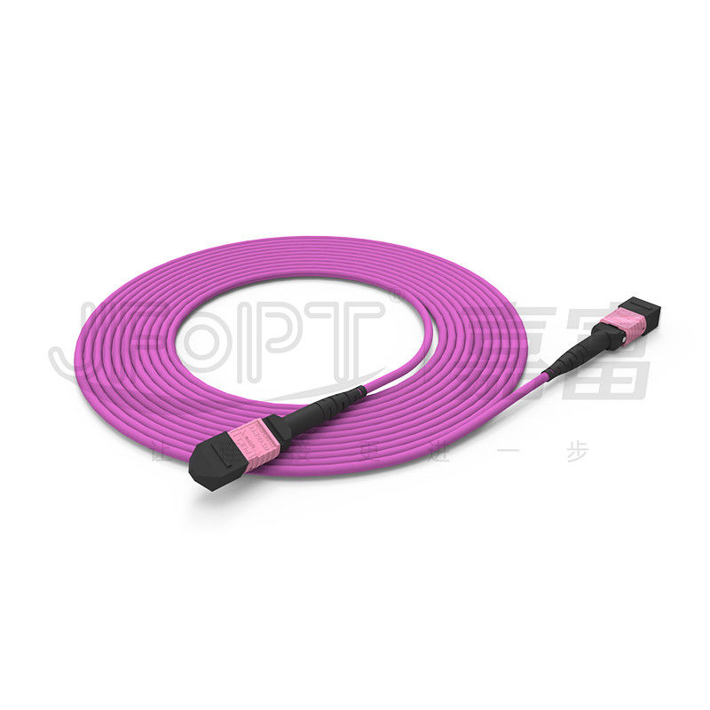 núcleos OM4 multimodo 50/125 LSZH 3.0-4.0mm Heather Violet Jumper do cabo de remendo 24 de 100G MTP