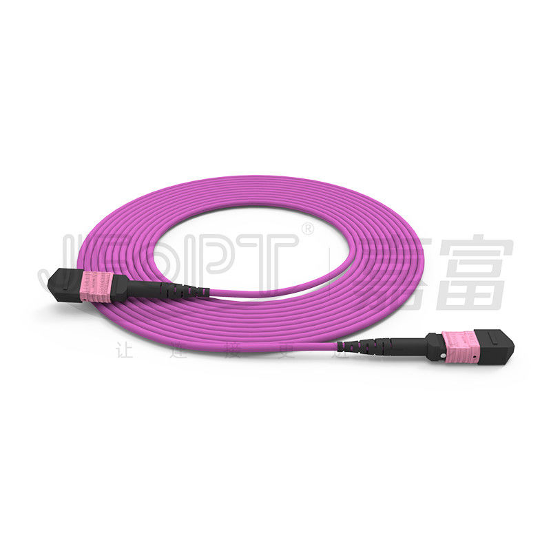 núcleos OM4 multimodo 50/125 LSZH 3.0-4.0mm Heather Violet Jumper do cabo de remendo 24 de 100G MTP