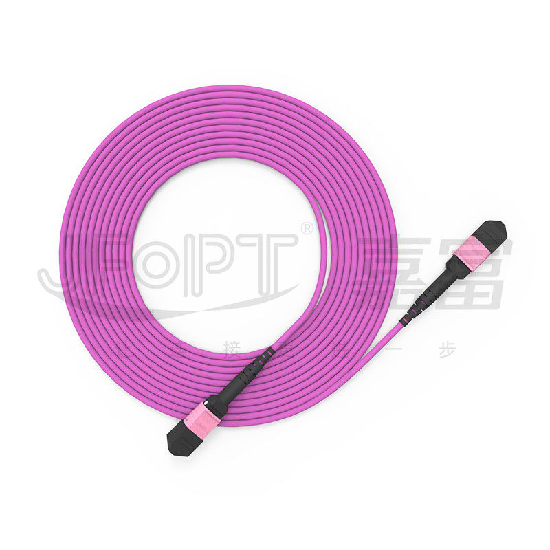núcleos OM4 multimodo 50/125 LSZH 3.0-4.0mm Heather Violet Jumper do cabo de remendo 24 de 100G MTP