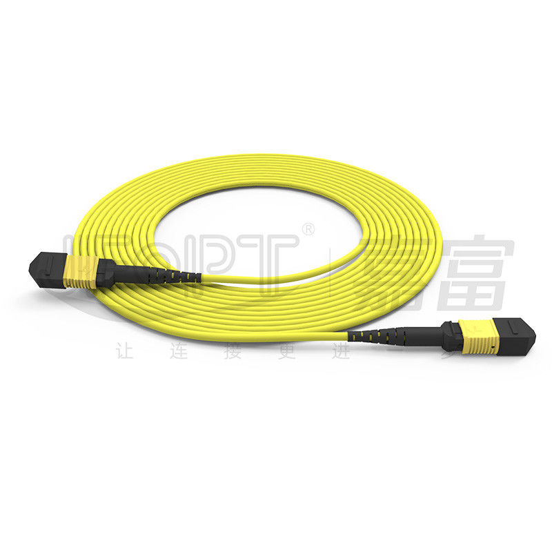 12-Core MPO Trunk Cable Patch Cord Single-Mode G657A1/G657A2 3.0 LSZH Reversão de Polaridade A/B
