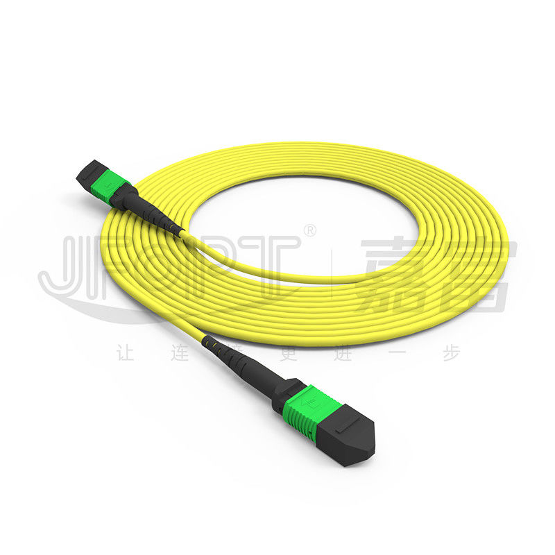 24 núcleos MPO de modo único G657A1/G657A2 Backbone Jumper