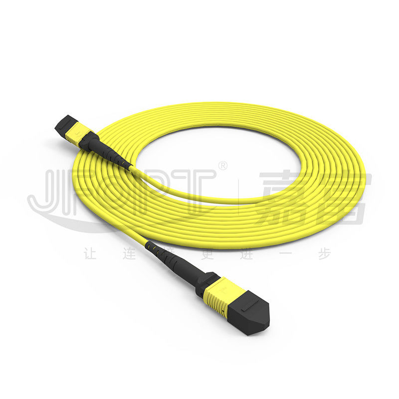 24 núcleos MPO de modo único G657A1/G657A2 Backbone Jumper