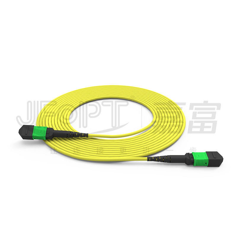 24 núcleos MPO de modo único G657A1/G657A2 Backbone Jumper
