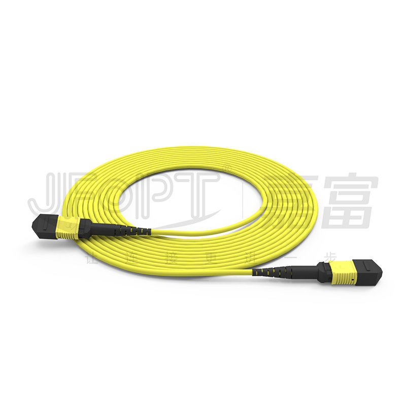 24 núcleos MPO de modo único G657A1/G657A2 Backbone Jumper