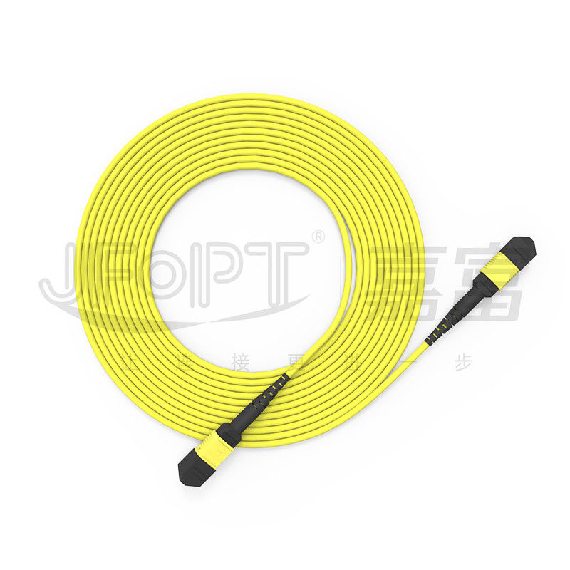 24 núcleos MPO de modo único G657A1/G657A2 Backbone Jumper