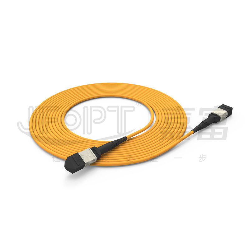 850 nm Multimodo Ferrule MPO Trunk Cable Multi-core Fiber Optic Patch Cord