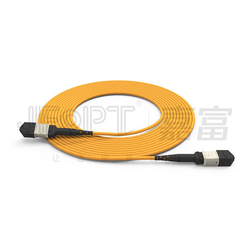 850 nm Multimodo Ferrule MPO Trunk Cable Multi-core Fiber Optic Patch Cord