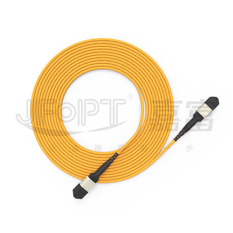 850 nm Multimodo Ferrule MPO Trunk Cable Multi-core Fiber Optic Patch Cord